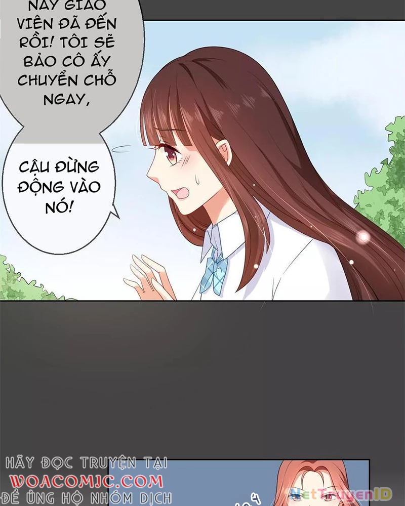Bạn Cùng Bàn Của Tôi Nổi Tiếng Là Mèo Chapter 7 - 9