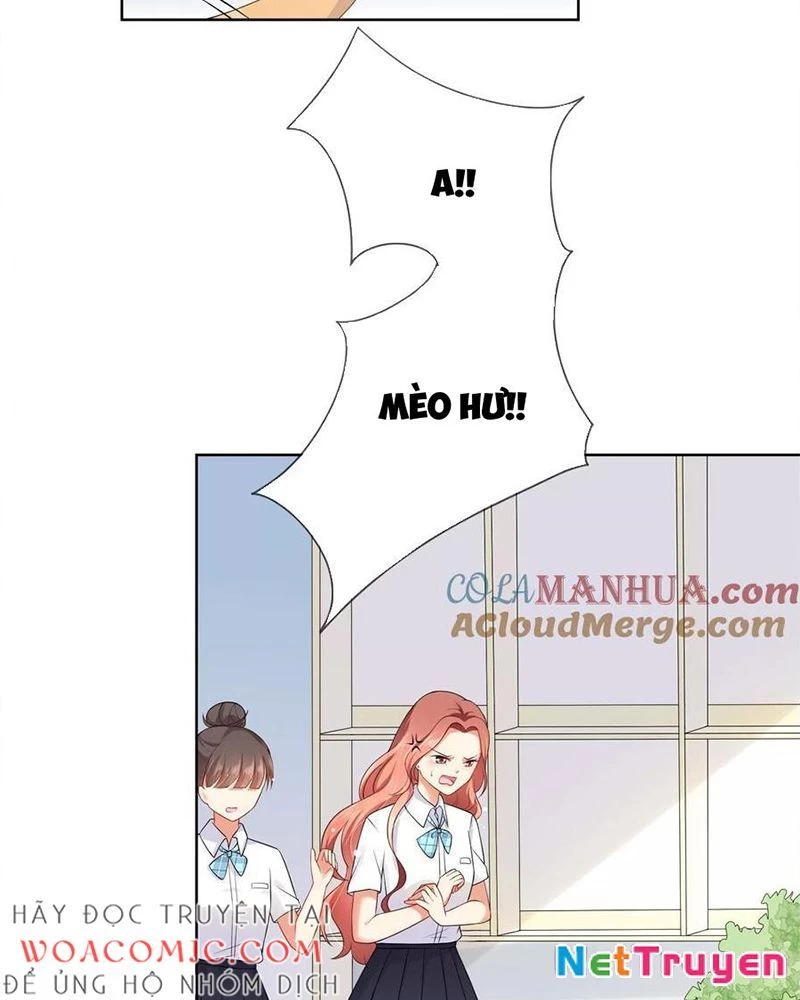 Bạn Cùng Bàn Của Tôi Nổi Tiếng Là Mèo Chapter 7 - 11