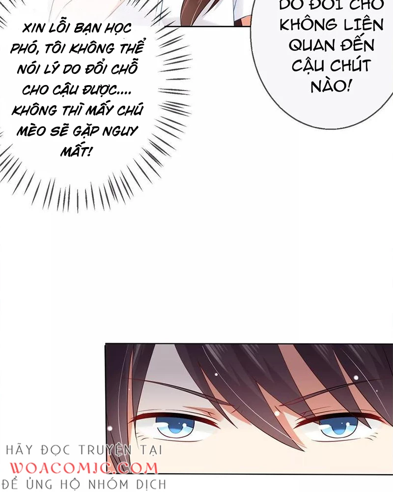 Bạn Cùng Bàn Của Tôi Nổi Tiếng Là Mèo Chapter 8 - 9