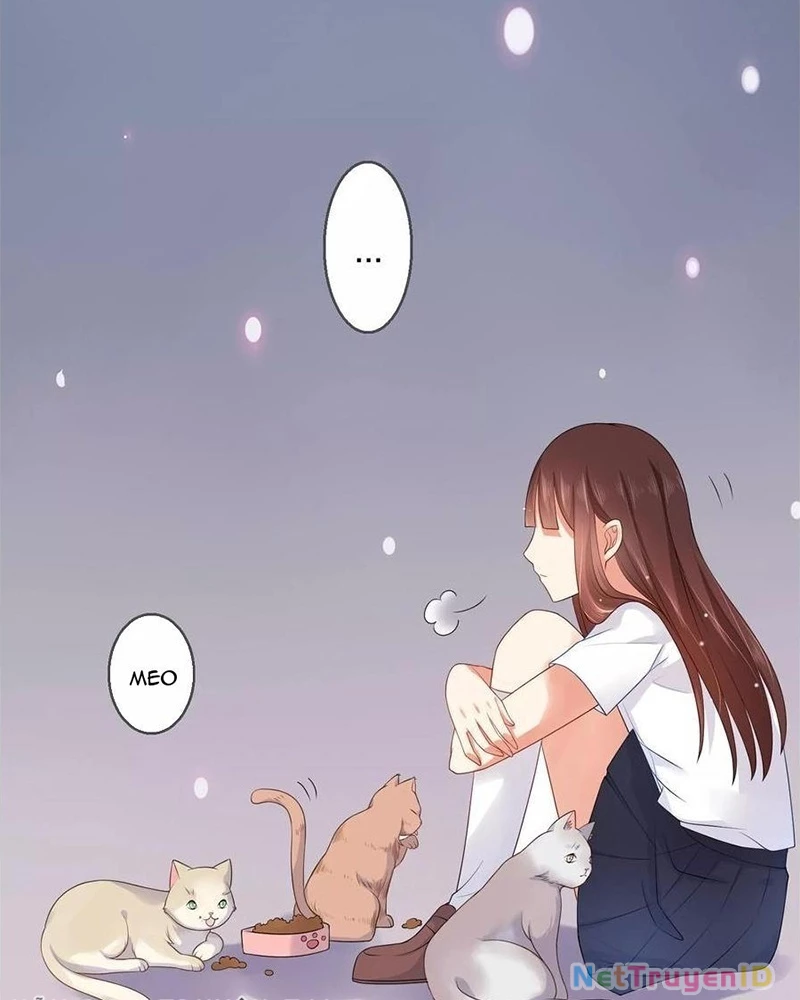Bạn Cùng Bàn Của Tôi Nổi Tiếng Là Mèo Chapter 8 - 23
