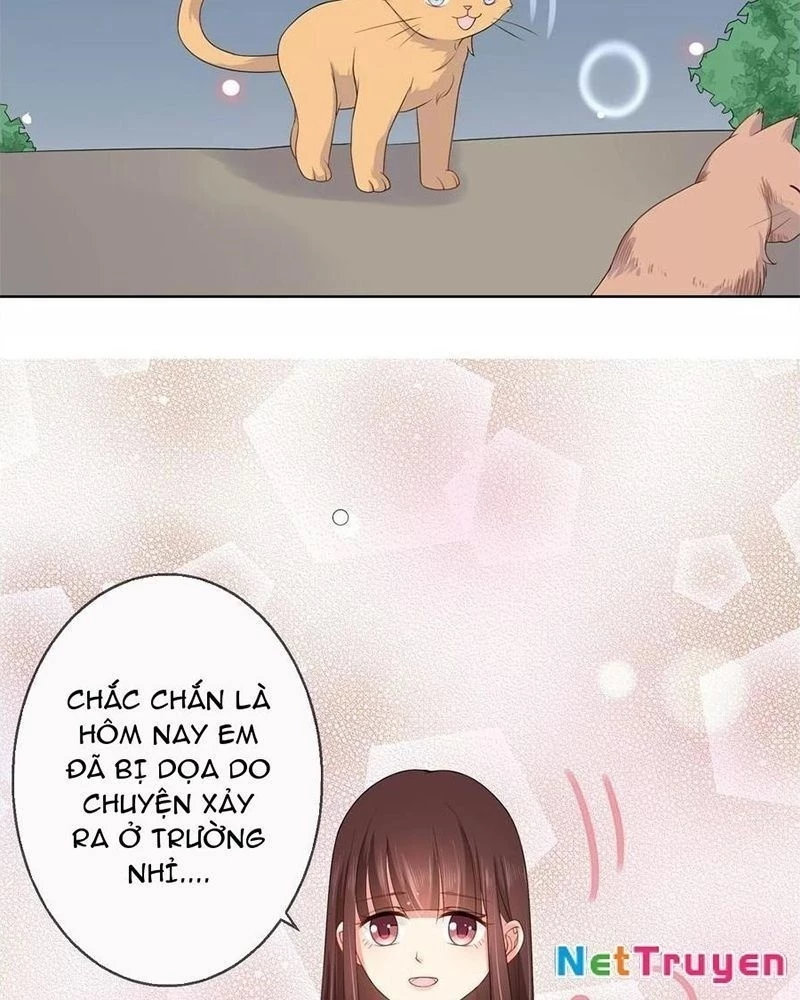 Bạn Cùng Bàn Của Tôi Nổi Tiếng Là Mèo Chapter 8 - 26