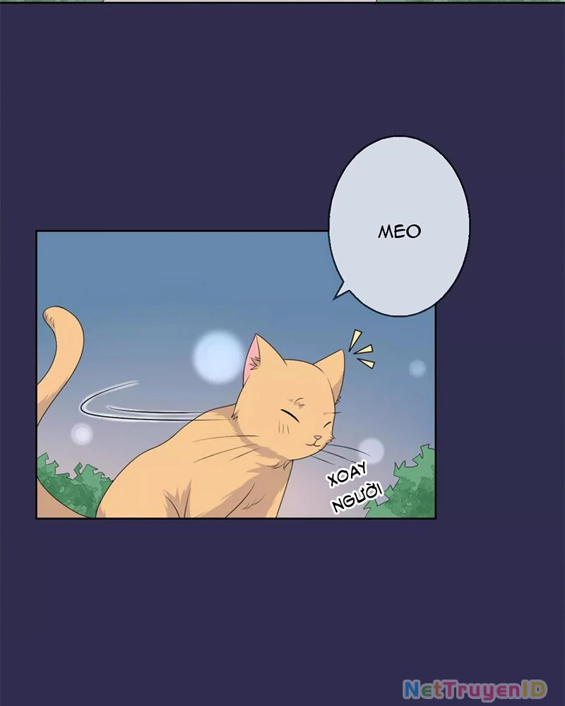 Bạn Cùng Bàn Của Tôi Nổi Tiếng Là Mèo Chapter 9 - 4