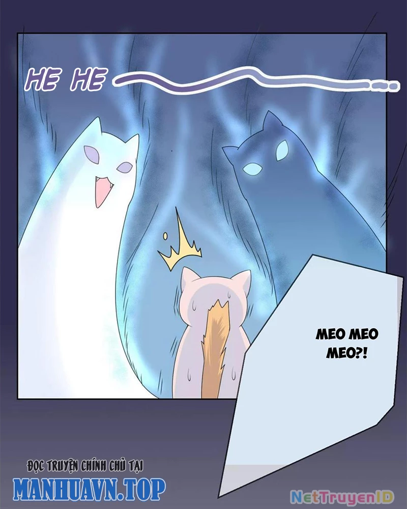Bạn Cùng Bàn Của Tôi Nổi Tiếng Là Mèo Chapter 9 - 5