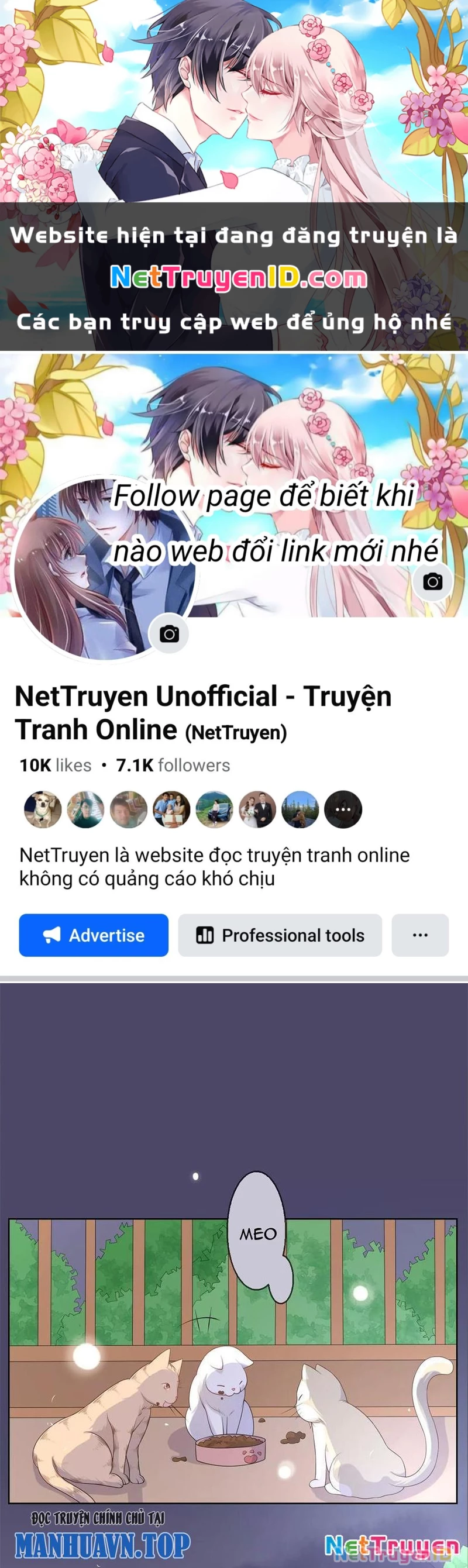 Bạn Cùng Bàn Của Tôi Nổi Tiếng Là Mèo Chapter 10 - 1