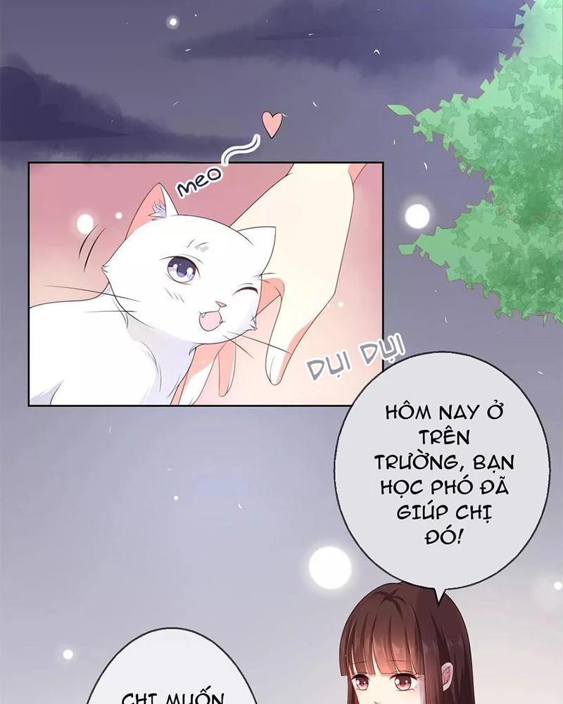 Bạn Cùng Bàn Của Tôi Nổi Tiếng Là Mèo Chapter 10 - 2