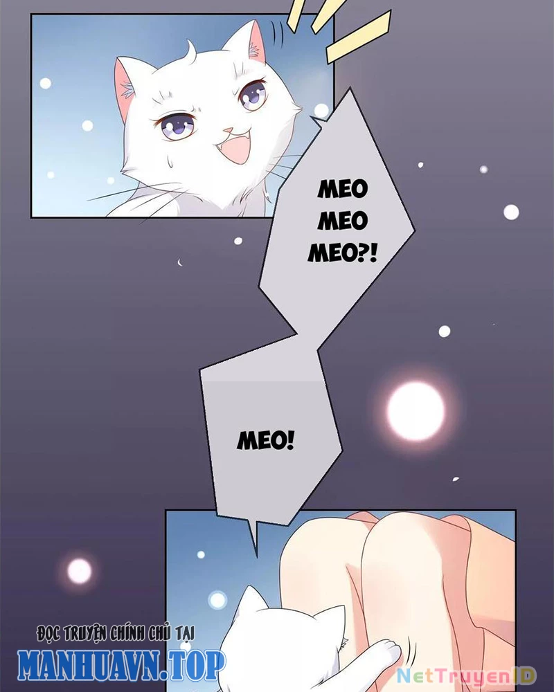 Bạn Cùng Bàn Của Tôi Nổi Tiếng Là Mèo Chapter 10 - 7