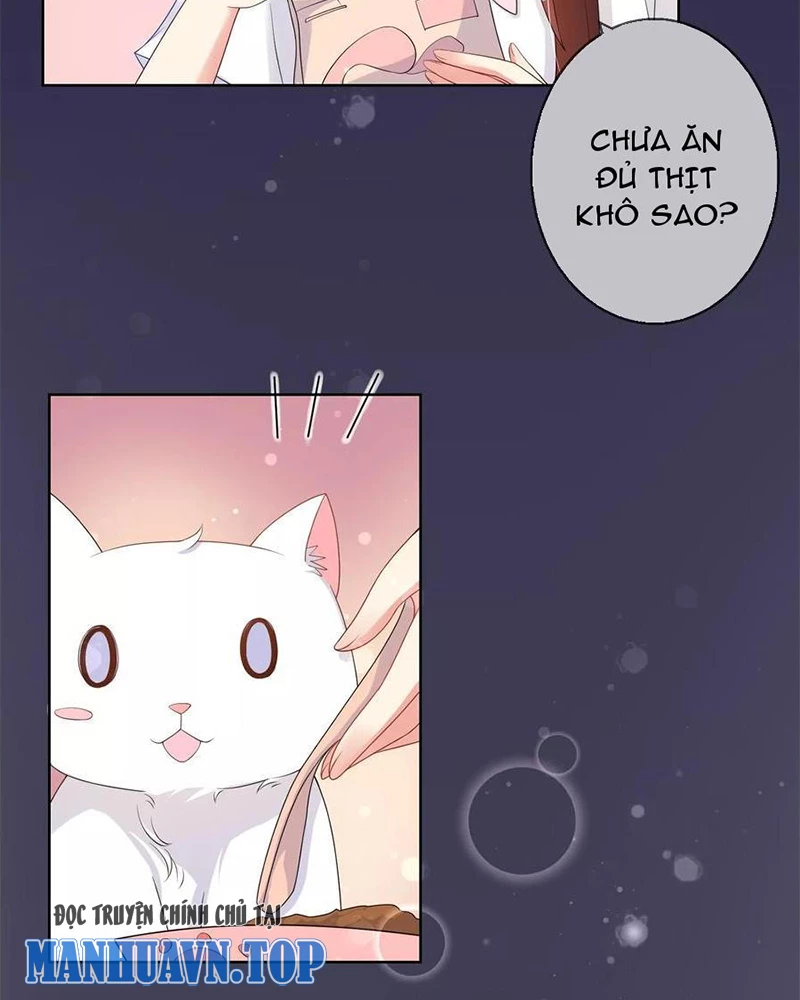 Bạn Cùng Bàn Của Tôi Nổi Tiếng Là Mèo Chapter 10 - 9