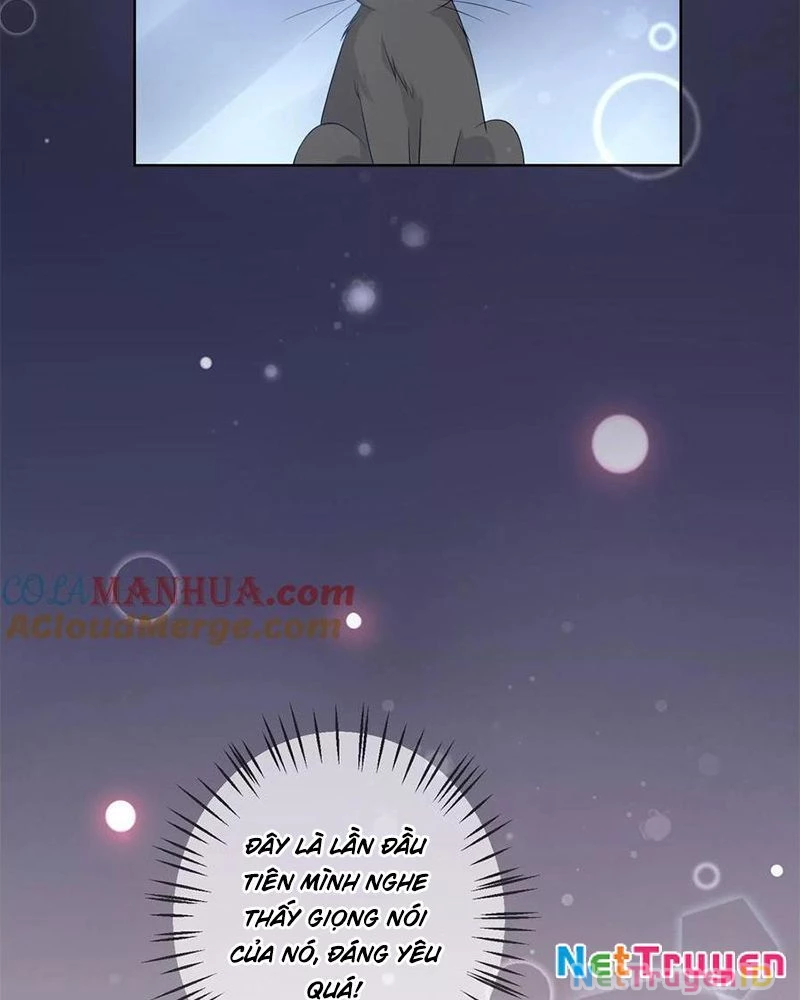 Bạn Cùng Bàn Của Tôi Nổi Tiếng Là Mèo Chapter 10 - 11