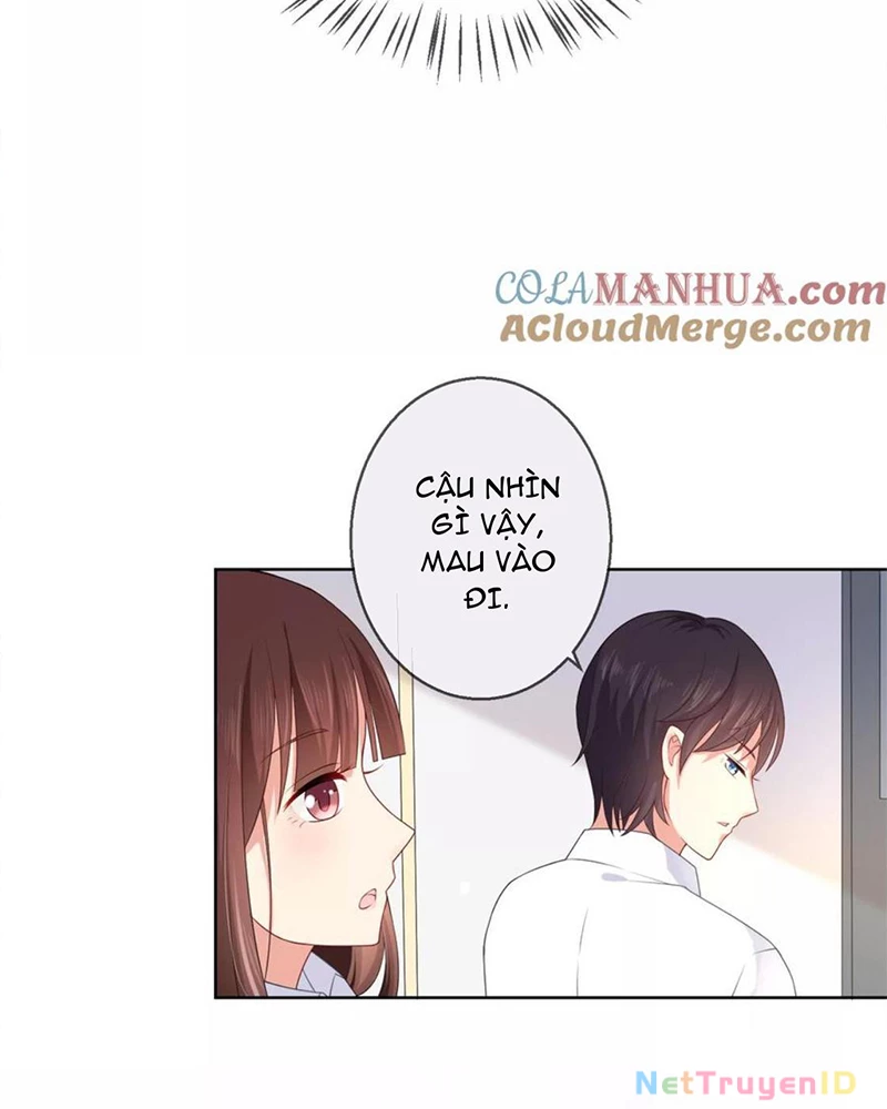 Bạn Cùng Bàn Của Tôi Nổi Tiếng Là Mèo Chapter 11 - 14