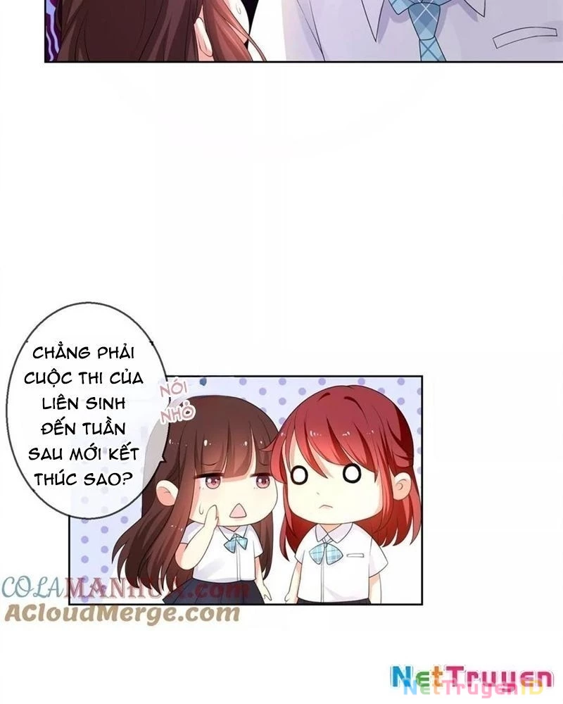 Bạn Cùng Bàn Của Tôi Nổi Tiếng Là Mèo Chapter 13 - 16