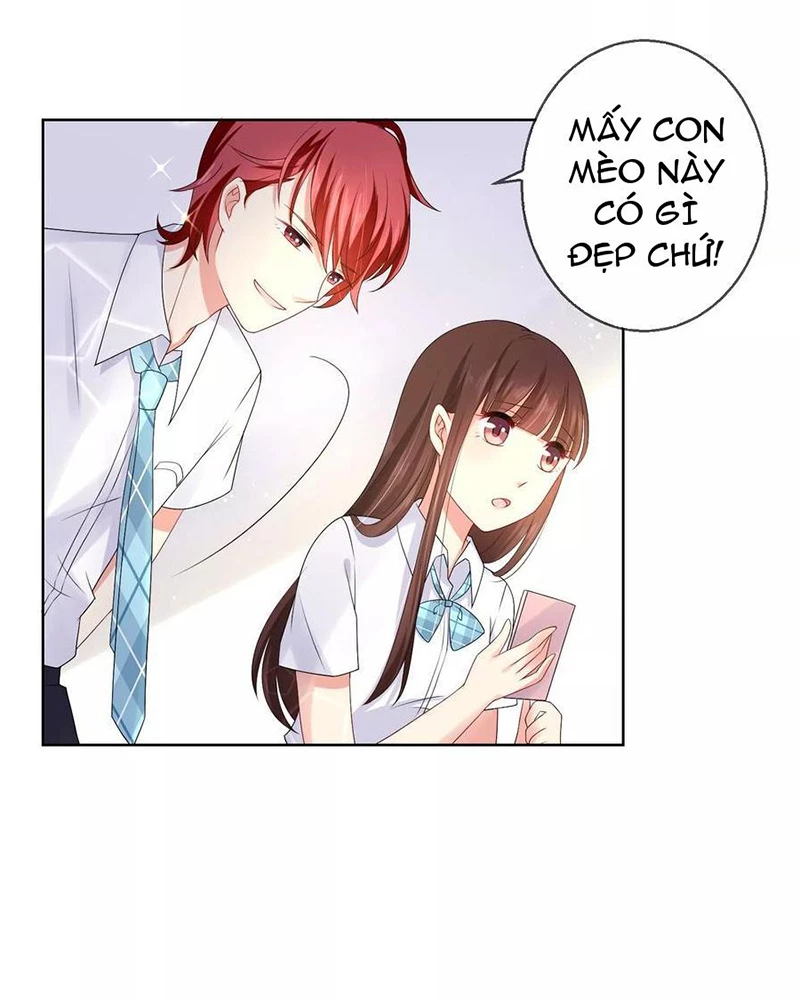 Bạn Cùng Bàn Của Tôi Nổi Tiếng Là Mèo Chapter 15 - 2