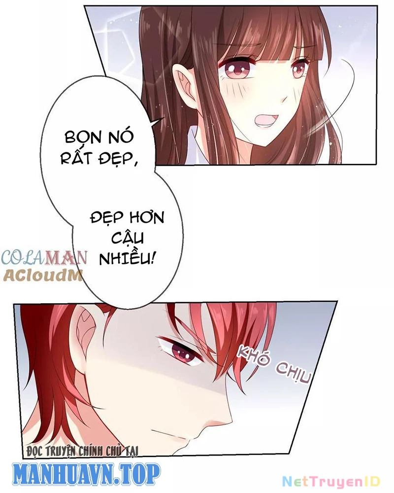 Bạn Cùng Bàn Của Tôi Nổi Tiếng Là Mèo Chapter 15 - 3