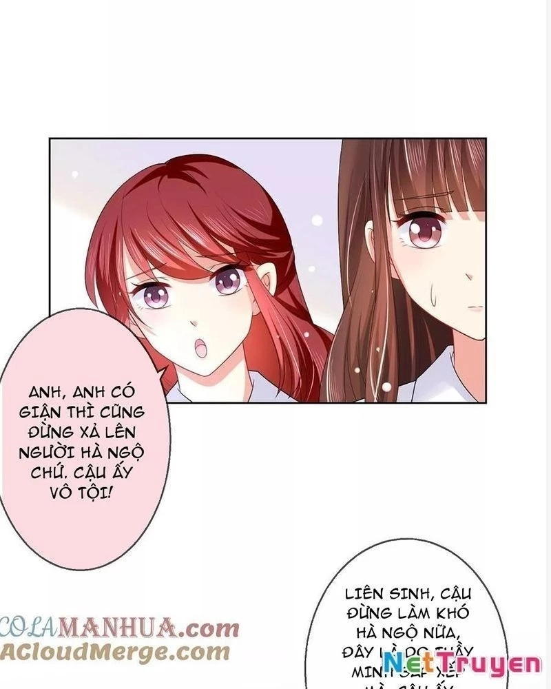 Bạn Cùng Bàn Của Tôi Nổi Tiếng Là Mèo Chapter 18 - 16