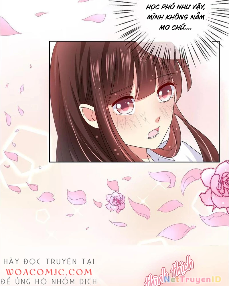 Bạn Cùng Bàn Của Tôi Nổi Tiếng Là Mèo Chapter 19 - 13