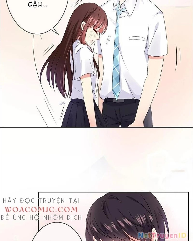 Bạn Cùng Bàn Của Tôi Nổi Tiếng Là Mèo Chapter 19 - 15
