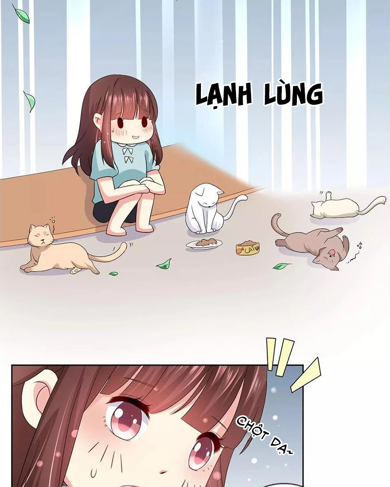 Bạn Cùng Bàn Của Tôi Nổi Tiếng Là Mèo Chapter 20 - 14