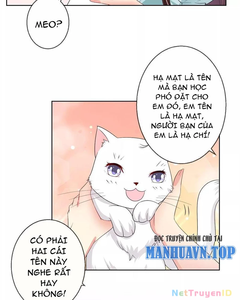 Bạn Cùng Bàn Của Tôi Nổi Tiếng Là Mèo Chapter 20 - 17
