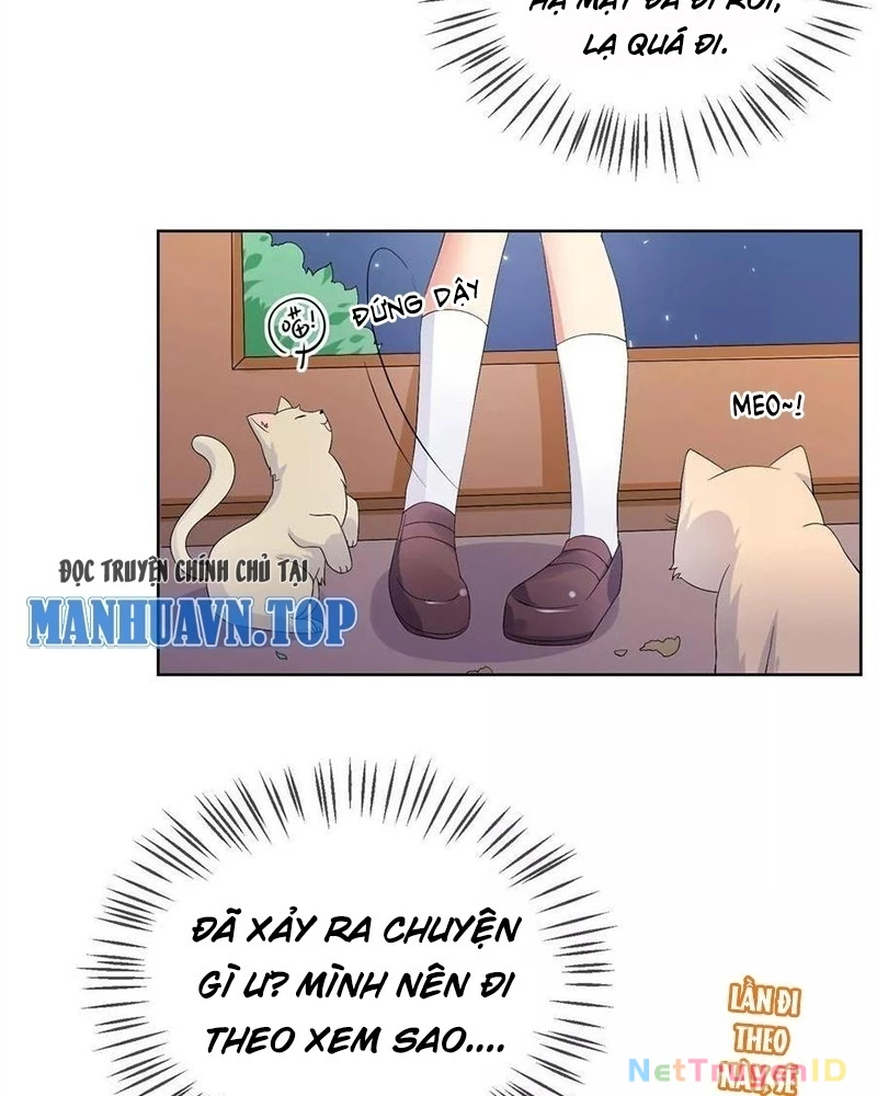 Bạn Cùng Bàn Của Tôi Nổi Tiếng Là Mèo Chapter 20 - 25