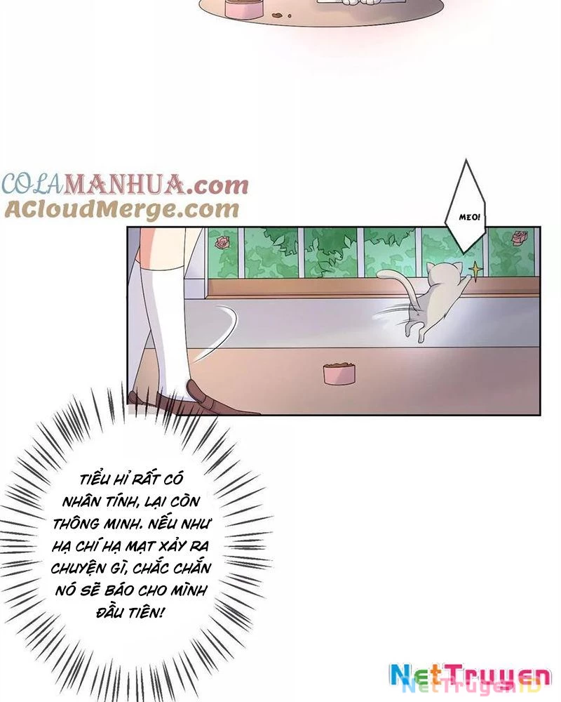 Bạn Cùng Bàn Của Tôi Nổi Tiếng Là Mèo Chapter 21 - 6