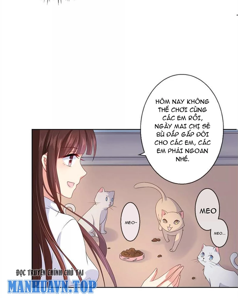 Bạn Cùng Bàn Của Tôi Nổi Tiếng Là Mèo Chapter 21 - 7
