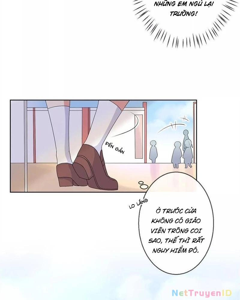 Bạn Cùng Bàn Của Tôi Nổi Tiếng Là Mèo Chapter 21 - 18
