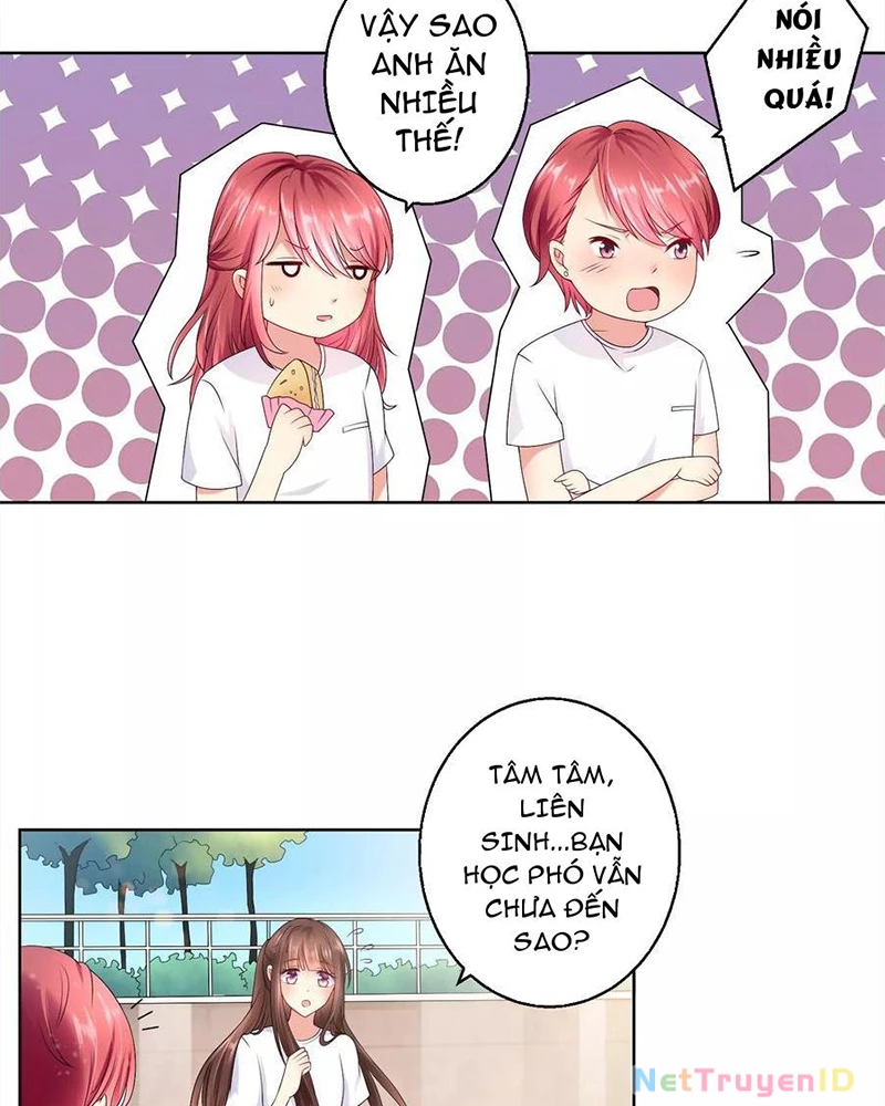 Bạn Cùng Bàn Của Tôi Nổi Tiếng Là Mèo Chapter 29 - 5