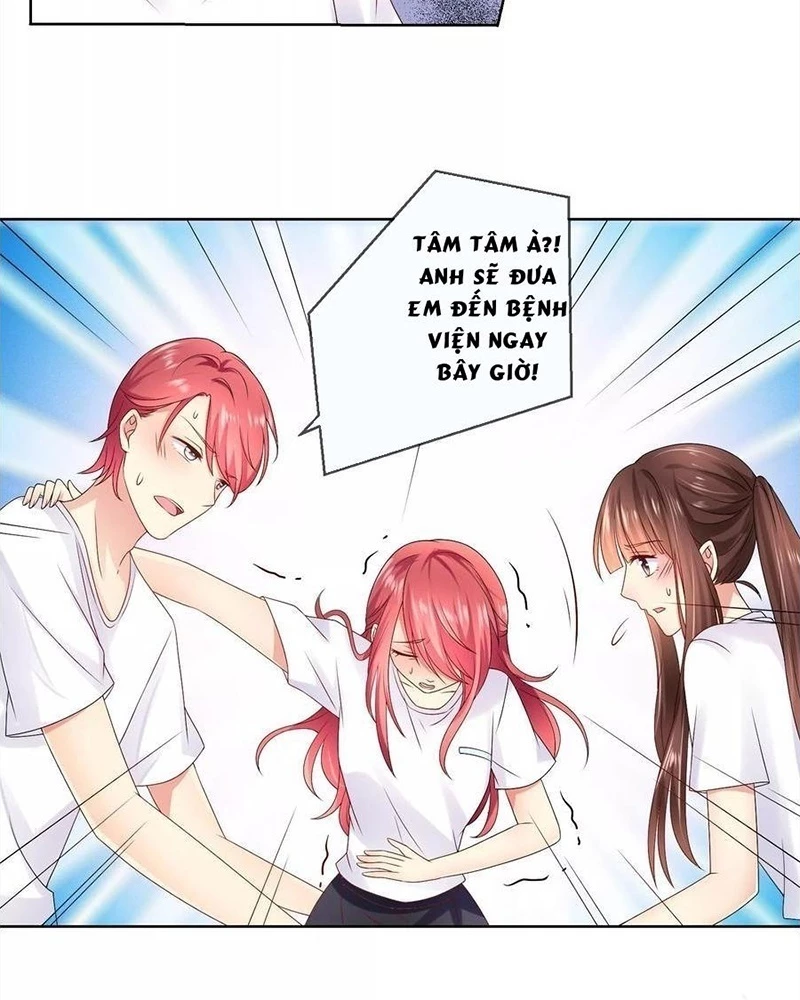 Bạn Cùng Bàn Của Tôi Nổi Tiếng Là Mèo Chapter 29 - 35