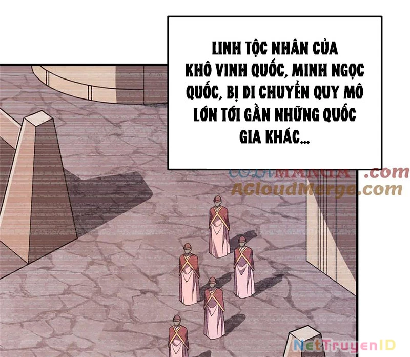 Thần Sủng Tiến Hóa Chapter 387 - 3