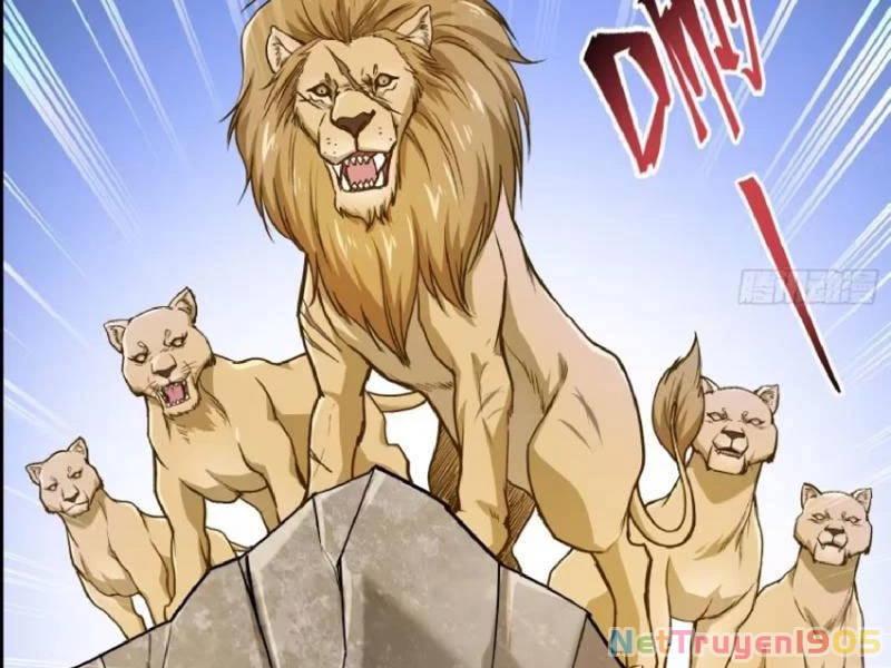 Bỏ Làm Simp Chúa, Ta Có Trong Tay Cả Tỉ Thần Hào! Chapter 184 - 70