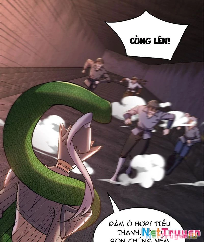 Huyễn Thú Của Ta Có Thể Tiến Hóa Vô Hạn Chapter 5 - 26