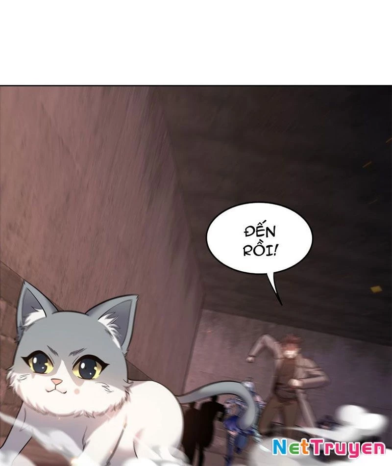 Huyễn Thú Của Ta Có Thể Tiến Hóa Vô Hạn Chapter 5 - 71