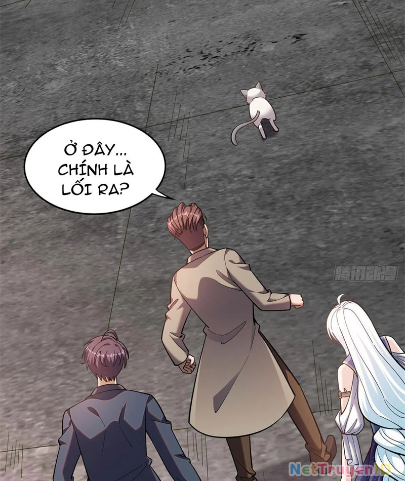 Huyễn Thú Của Ta Có Thể Tiến Hóa Vô Hạn Chapter 5 - 74