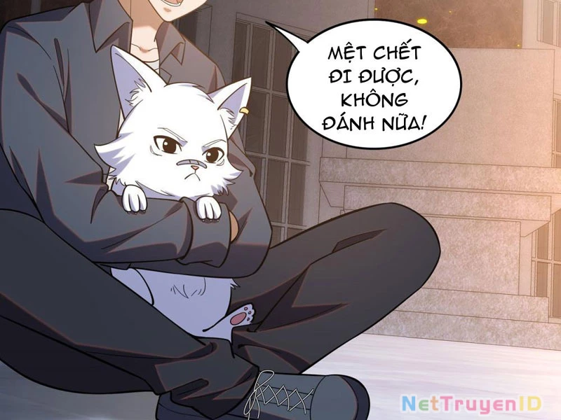 Huyễn Thú Của Ta Có Thể Tiến Hóa Vô Hạn Chapter 6 - 107