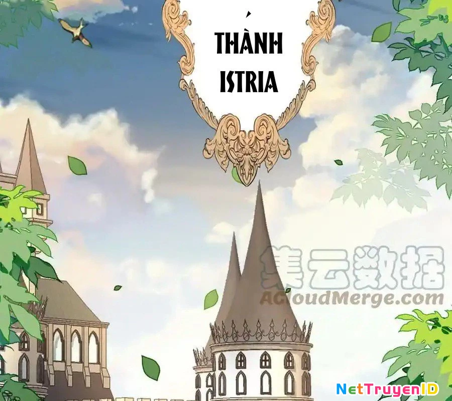 Sức Mạnh Của Kiếm Thần Chapter 72 - 63