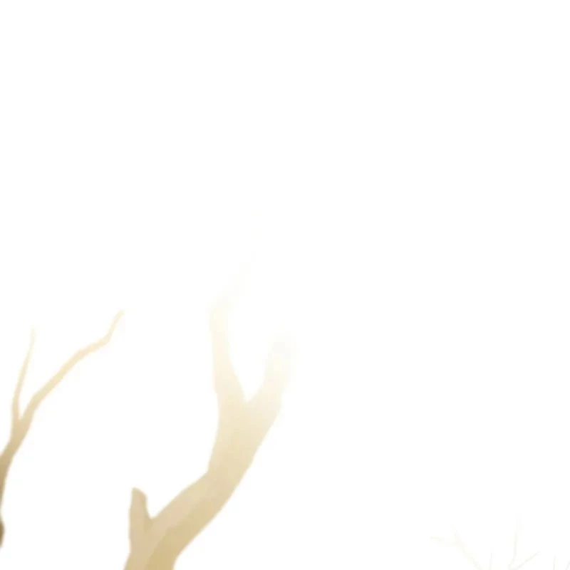 Vô Hồn Bất Kính Giả Dạ Chapter 22 - Trang 2
