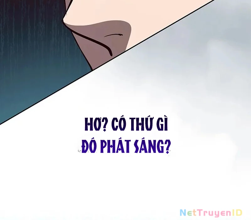 Chiến Lược Sinh Tồn Sau Cải Cách Chapter 15 - 62