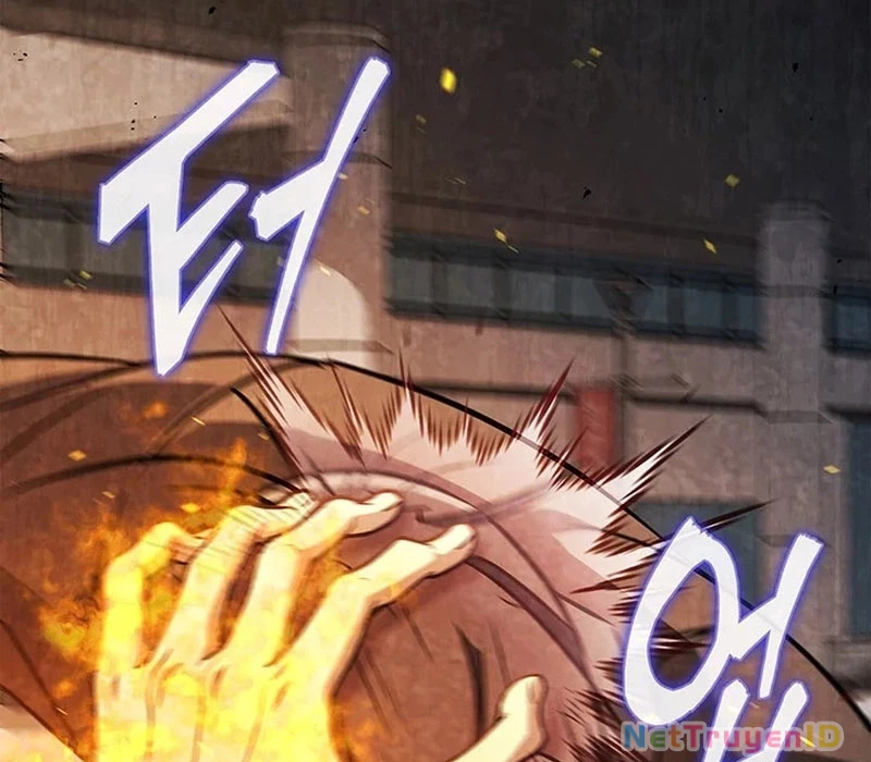 Chiến Lược Sinh Tồn Sau Cải Cách Chapter 16 - 99