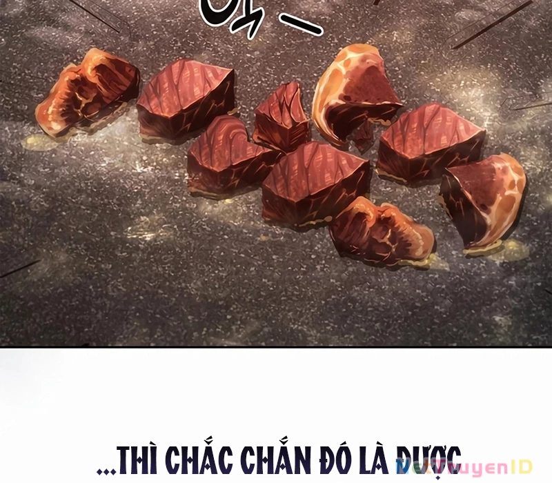 Chiến Lược Sinh Tồn Sau Cải Cách Chapter 23 - 80