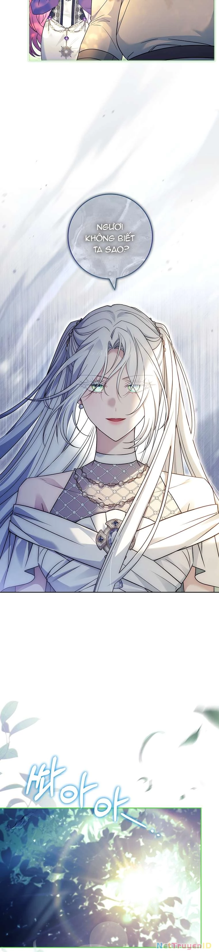 Chồng Ơi, Tại Sao Chúng Ta Không Thể Ly Hôn? Chapter 45 - Trang 2