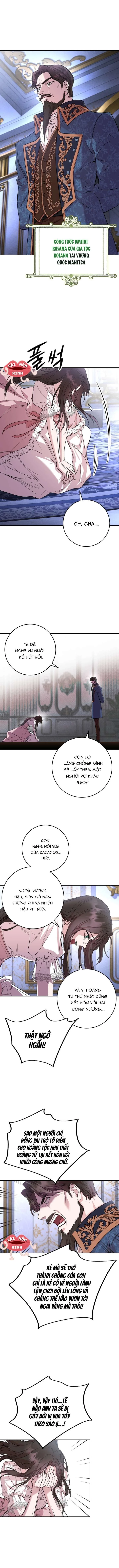 Cuộc Hôn Nhân Bị Bắt Cóc Xuyên Thời Gian Của Hoàng Hậu Chapter 1 - Trang 2