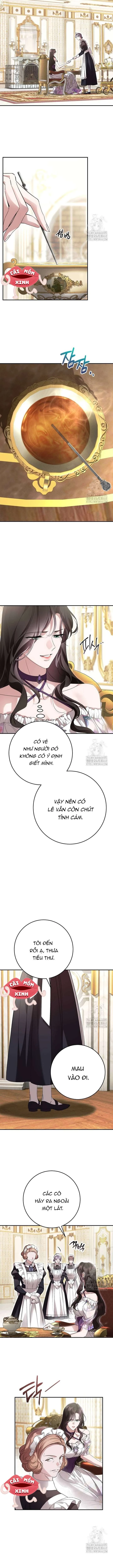 Cuộc Hôn Nhân Bị Bắt Cóc Xuyên Thời Gian Của Hoàng Hậu Chapter 16 - Trang 2