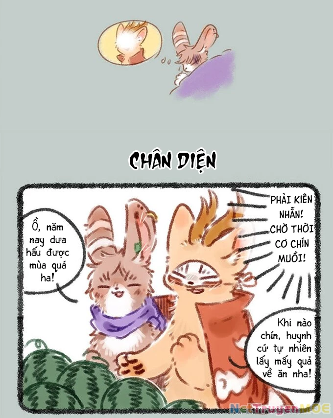Có Linh Thú Chapter 64 - 5