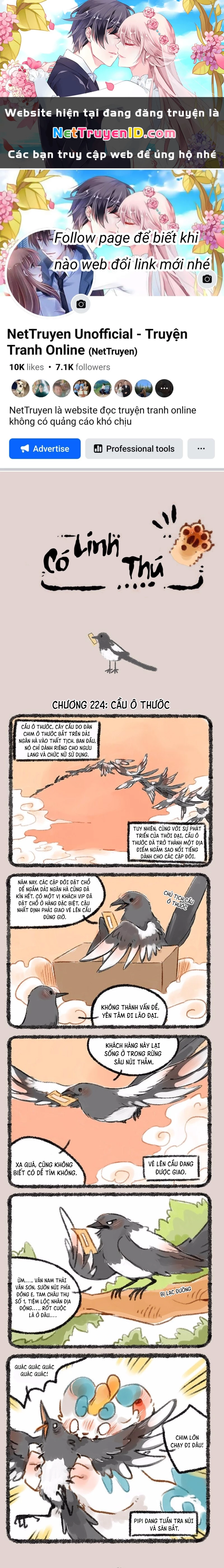 Có Linh Thú Chapter 224 - 1