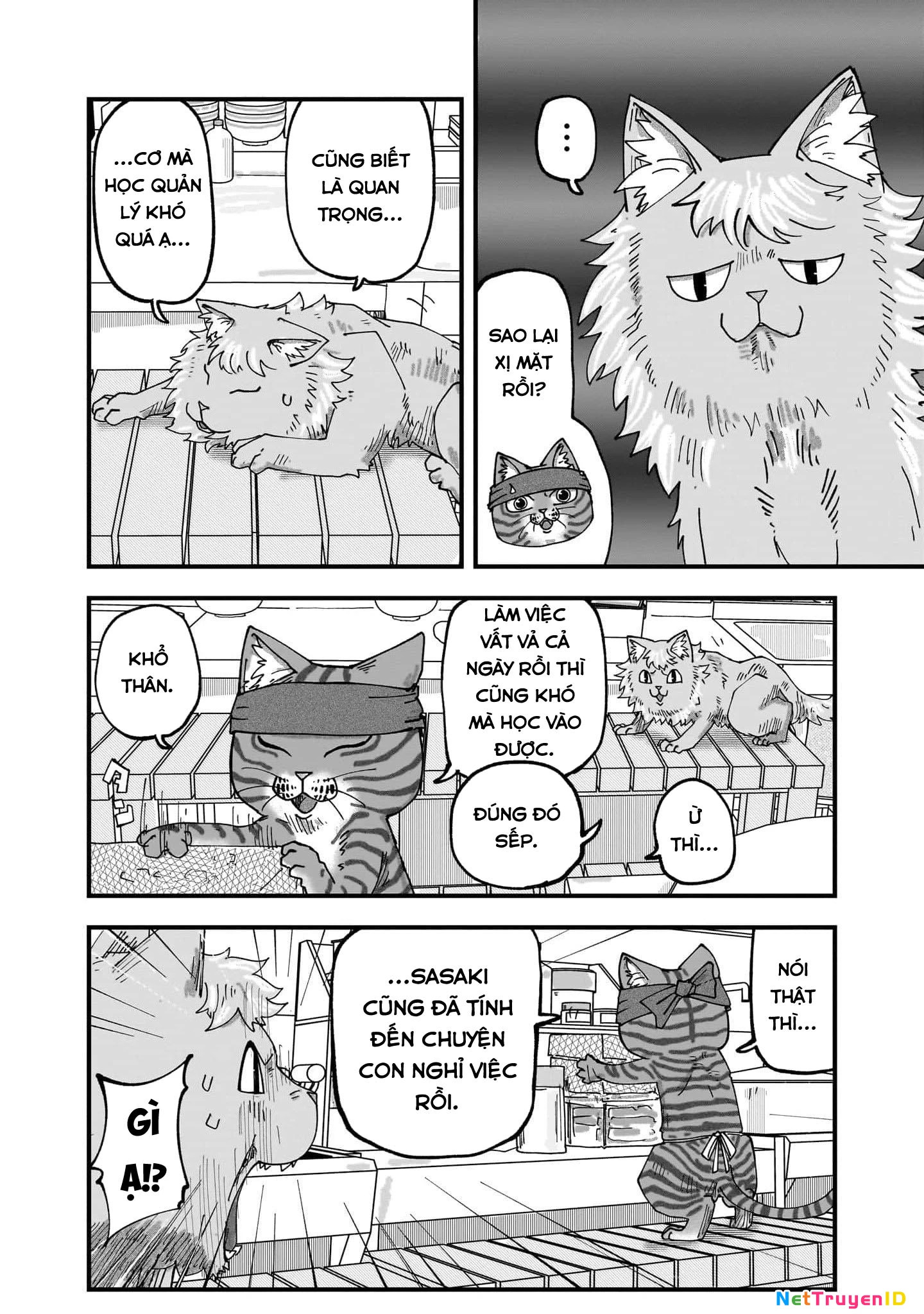 Red Cat Ramen Chapter 53 - 5