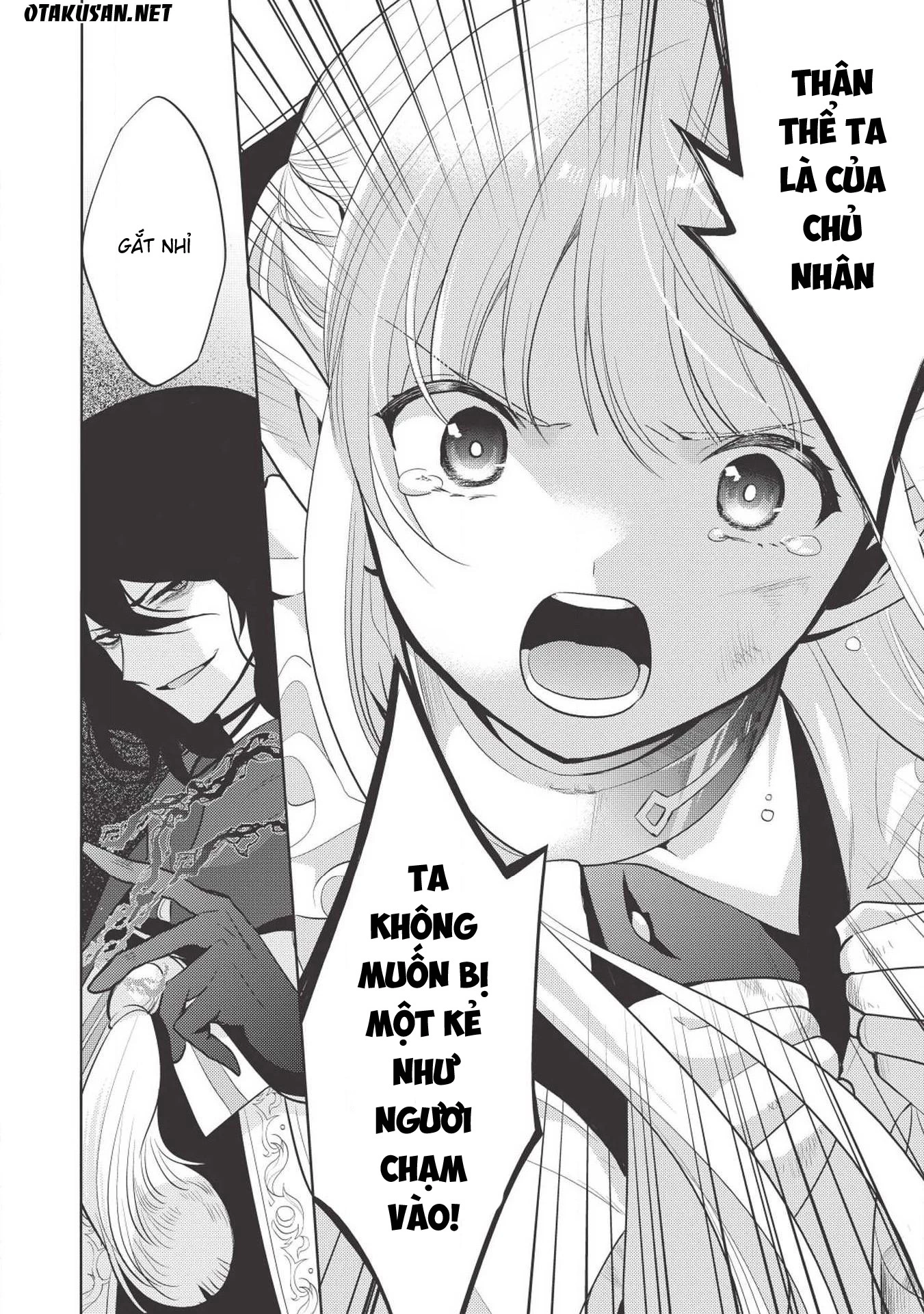 Maou No Ore Ga Dorei Elf Wo Yome Ni Shitanda Ga, Dou Medereba Ii? Chapter 11.1 - Trang 2