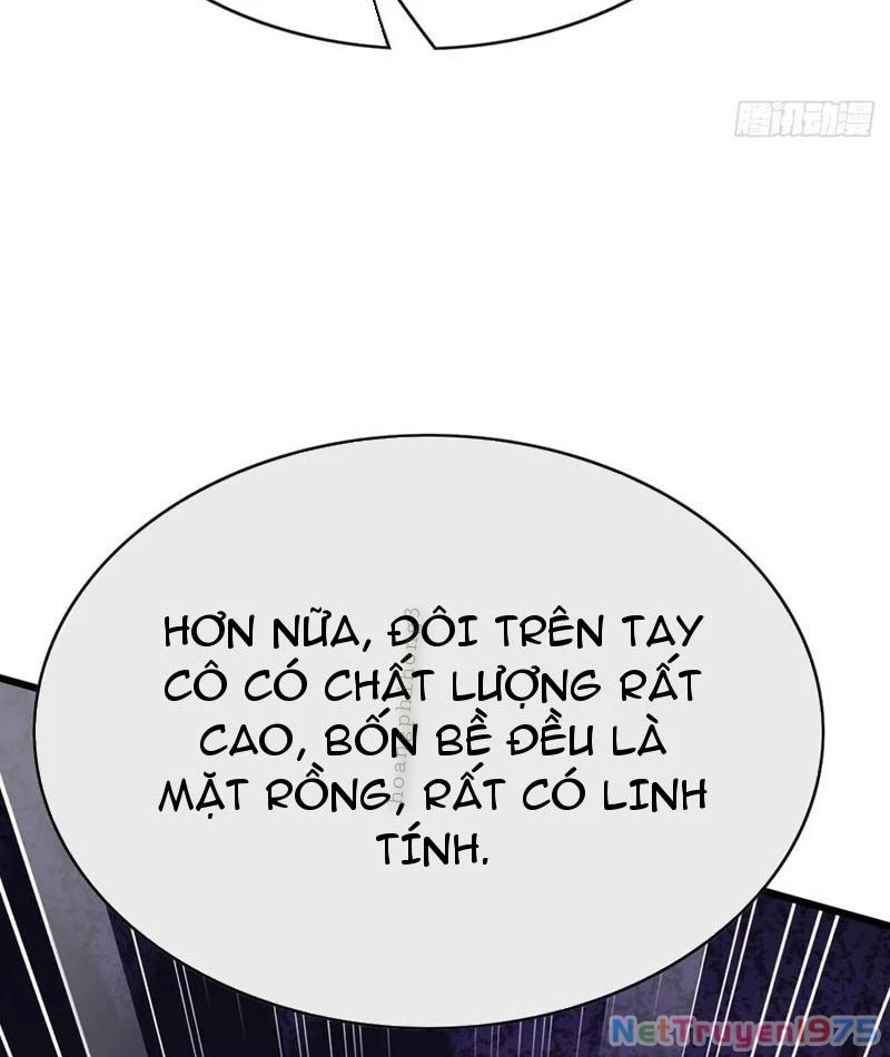 Đại Lão Xuống Núi: Bắt Đầu Từ Việc Trở Thành Thư Ký Chapter 86 - 3