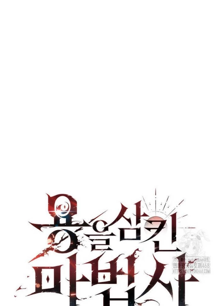Thực Long Ma Pháp Sư Chapter 98 - 26