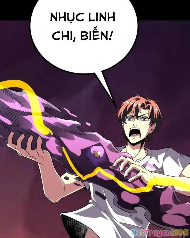 Quỷ Dị Khôi Phục: Ta Có Thể Hóa Thân Thành Đại Yêu Chapter 257 - 60