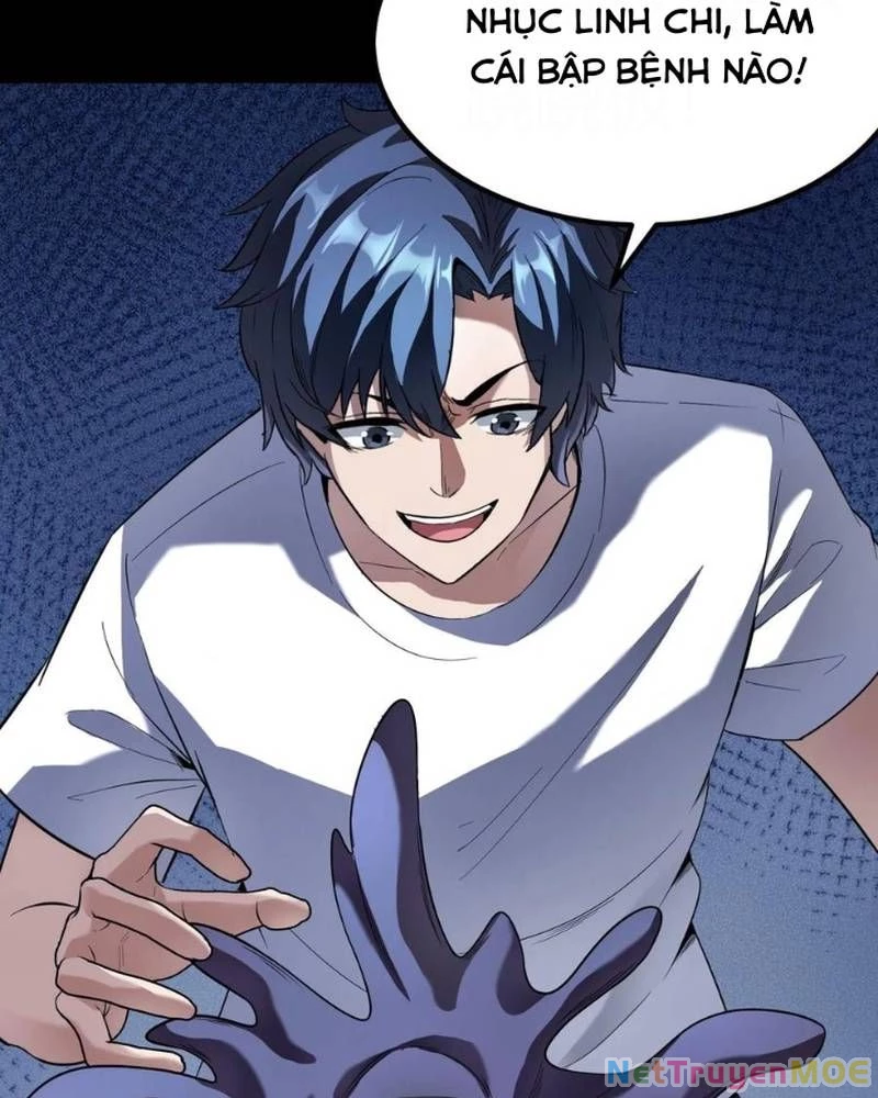 Quỷ Dị Khôi Phục: Ta Có Thể Hóa Thân Thành Đại Yêu Chapter 268 - 17