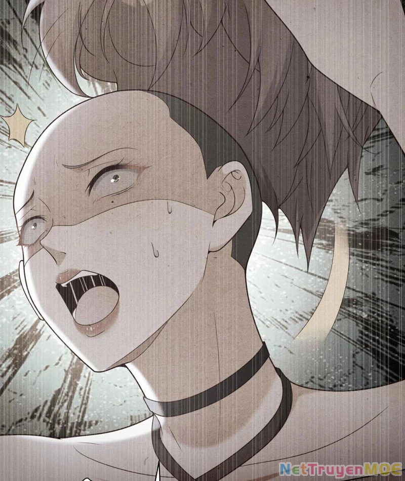 Giá Trị Hàng Hóa Giảm Trăm Vạn Lần Chapter 13 - Trang 2